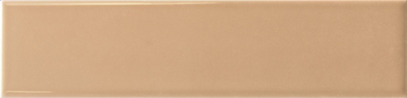 Agofat Glossy 6x24,6
