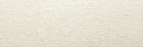 Light 30.5×91.5